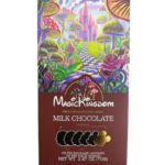 Buy Magic Kingdom Milk Chocolate